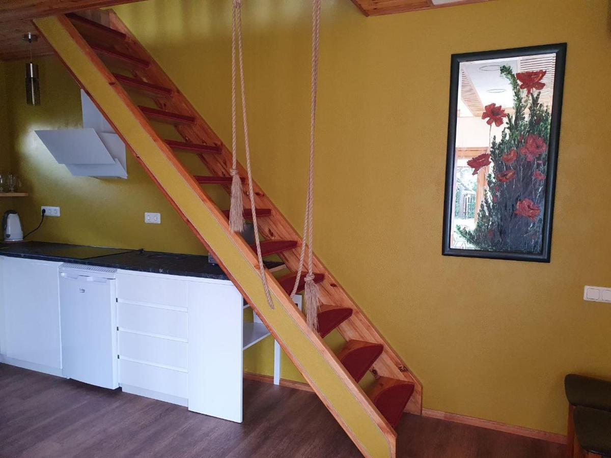 ונטספילס Brivdienu Maja Amrai מראה חיצוני תמונה
